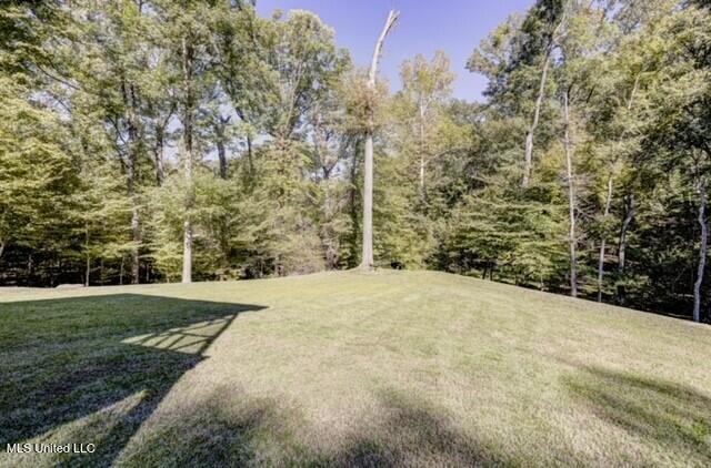 128 Robinhood Road Vicksburg, MS 39180 - Photo 13 of 66 thumbnail_Backyard 2