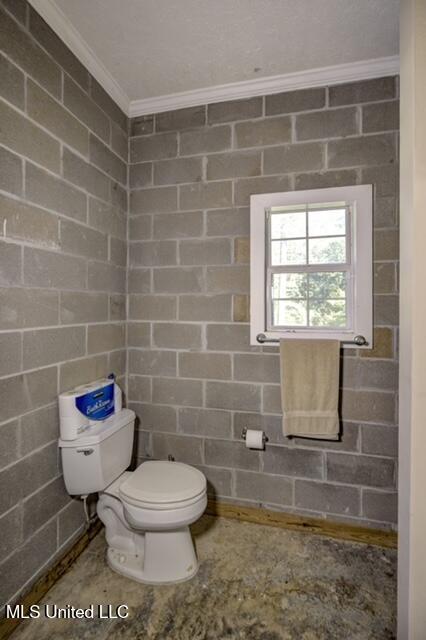 128 Robinhood Road Vicksburg, MS 39180 - Photo 14 of 66 thumbnail_Basement Toilet and Shower 1