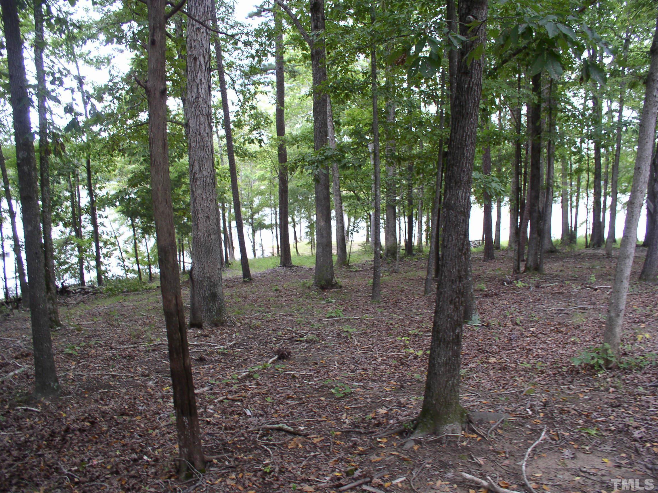 198 B South Harrison Lane Henderson, NC 27537 - Photo 1 of 14 a view of a forest that has large trees