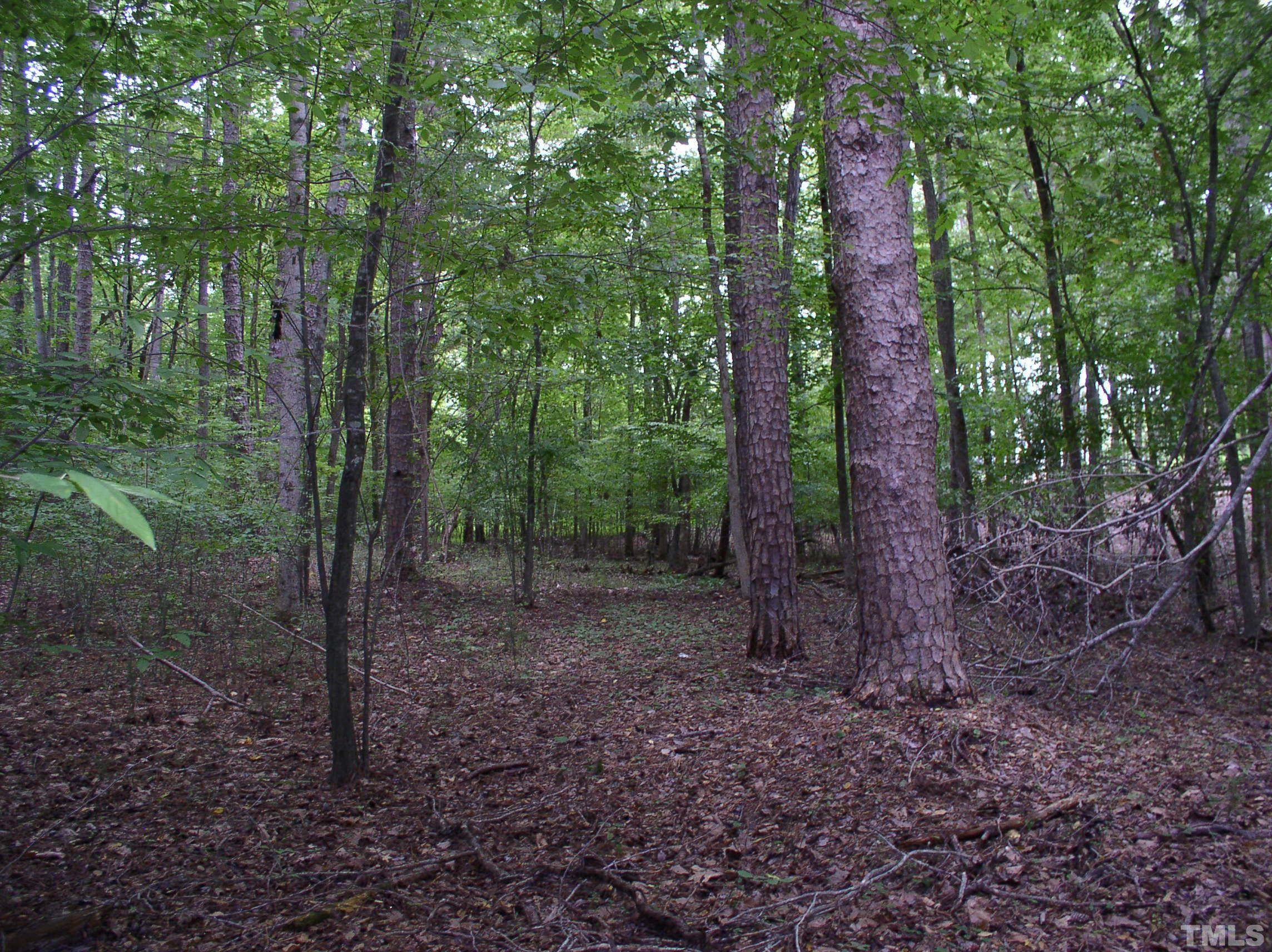 198 B South Harrison Lane Henderson, NC 27537 - Photo 3 of 14 a view of a forest that has large trees