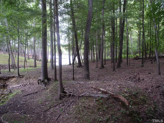 a view of outdoor space with green space