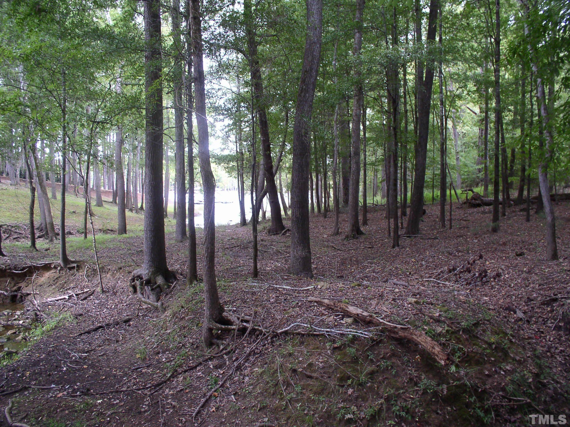 198 B South Harrison Lane Henderson, NC 27537 - Photo 9 of 14 a view of outdoor space with green space