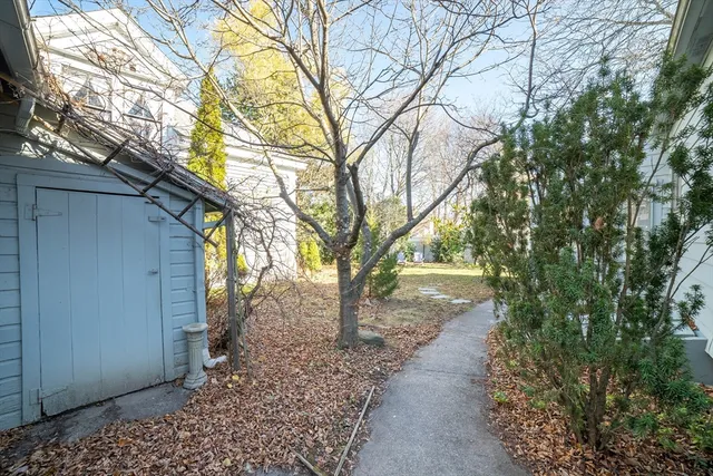 a view of a yard with a tree