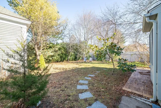 a view of a yard with plants and trees