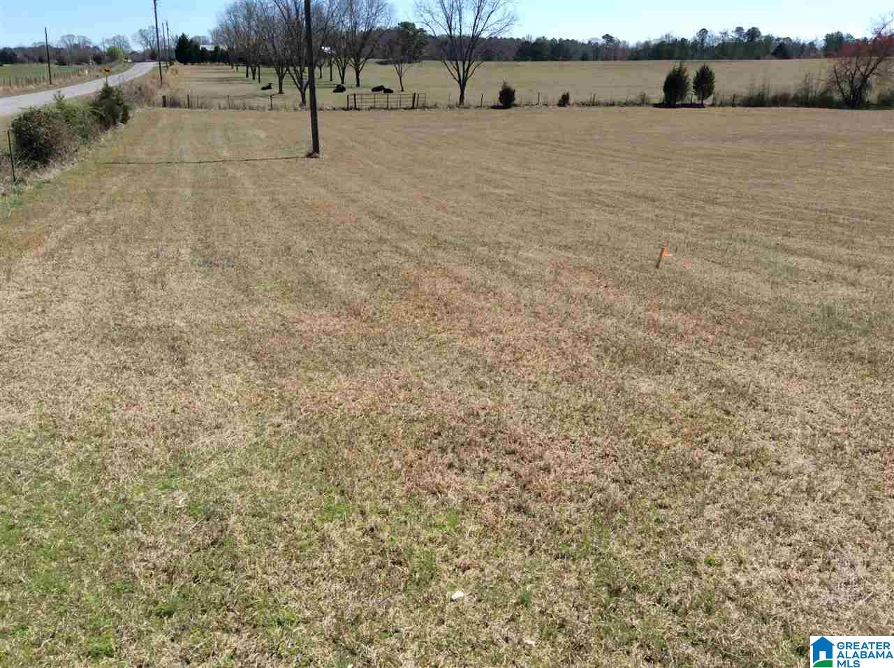 0 Coats Bend Road, Unit 1 Gadsden, AL 35901 - Photo 2 of 20