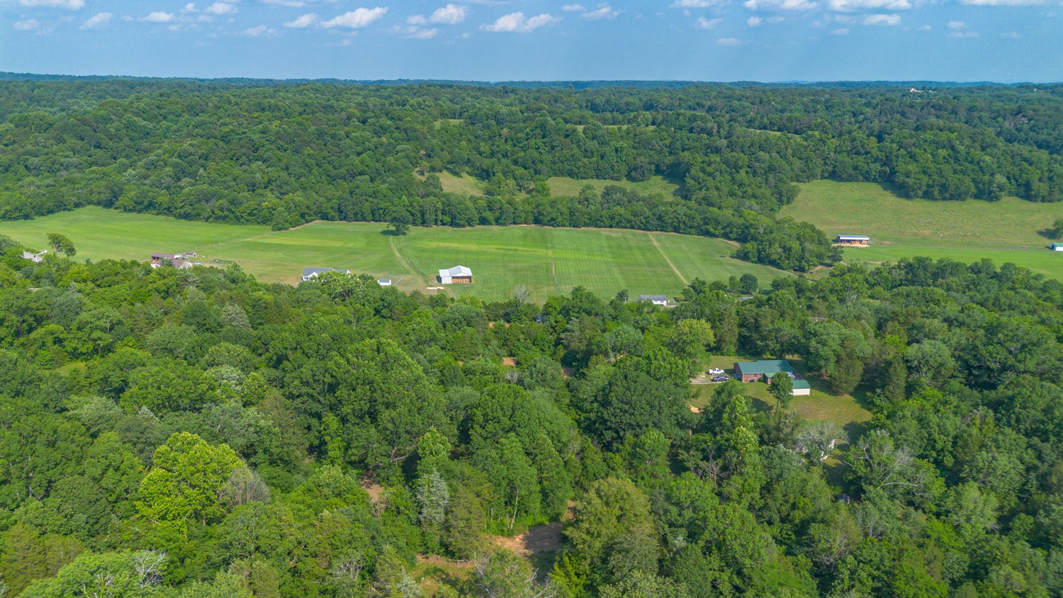 1 Snow Creek Road Santa Fe, TN 38482 - Photo 18 of 45 a view of a field of grass and trees