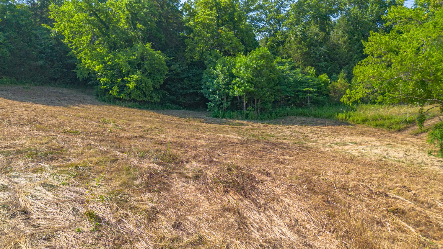 1 Snow Creek Road Santa Fe, TN 38482 - Photo 32 of 45 a view of a lake with a yard