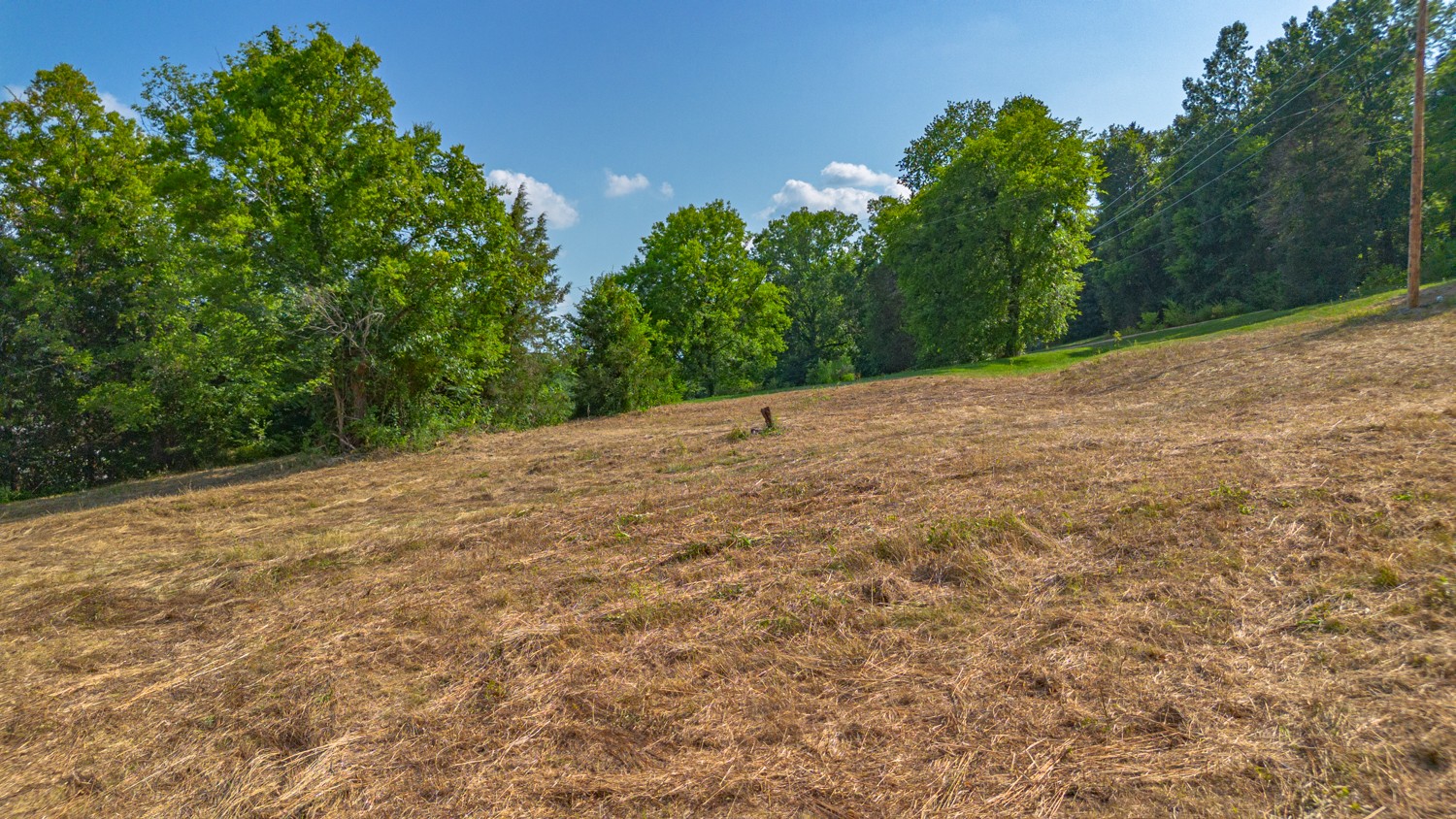 1 Snow Creek Road Santa Fe, TN 38482 - Photo 34 of 45 a view of a backyard of a house