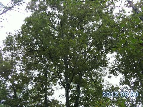 0 Clarke Branch Road Campton, KY 41301 - Photo 3 of 8 Photo 3