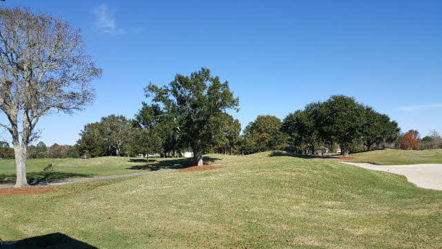 100 Craigend Loop Gulf Shores, AL 36542 - Photo 27 of 39