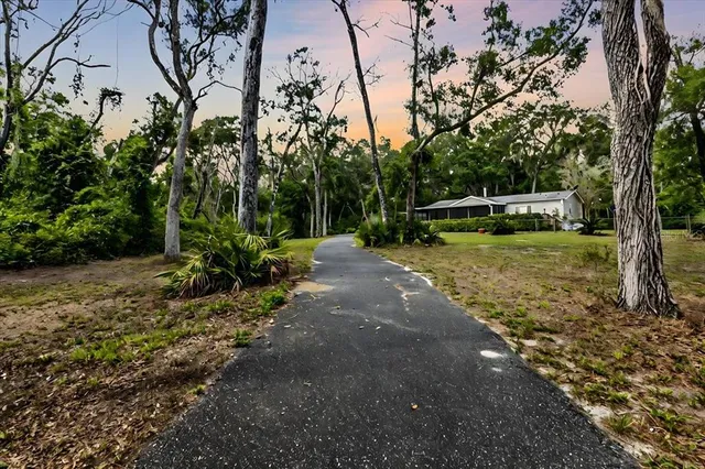 a view of a backyard with large trees