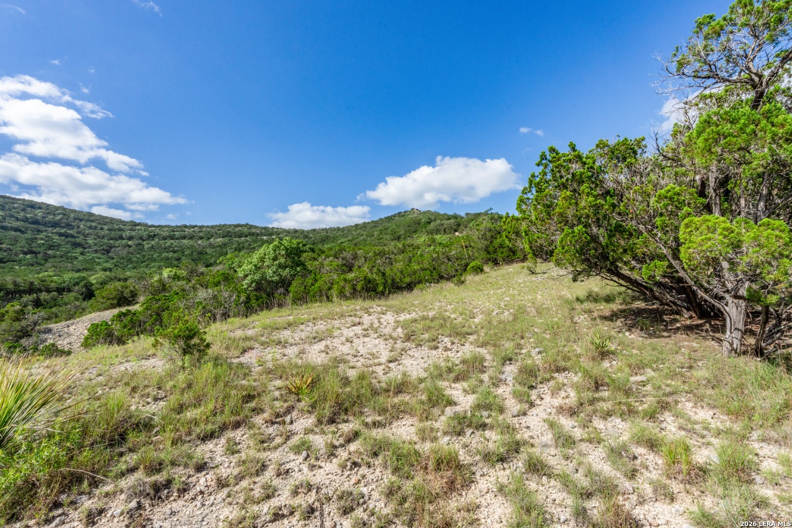 630 Evans Creek Road Vanderpool, TX 78885 - Photo 5 of 14