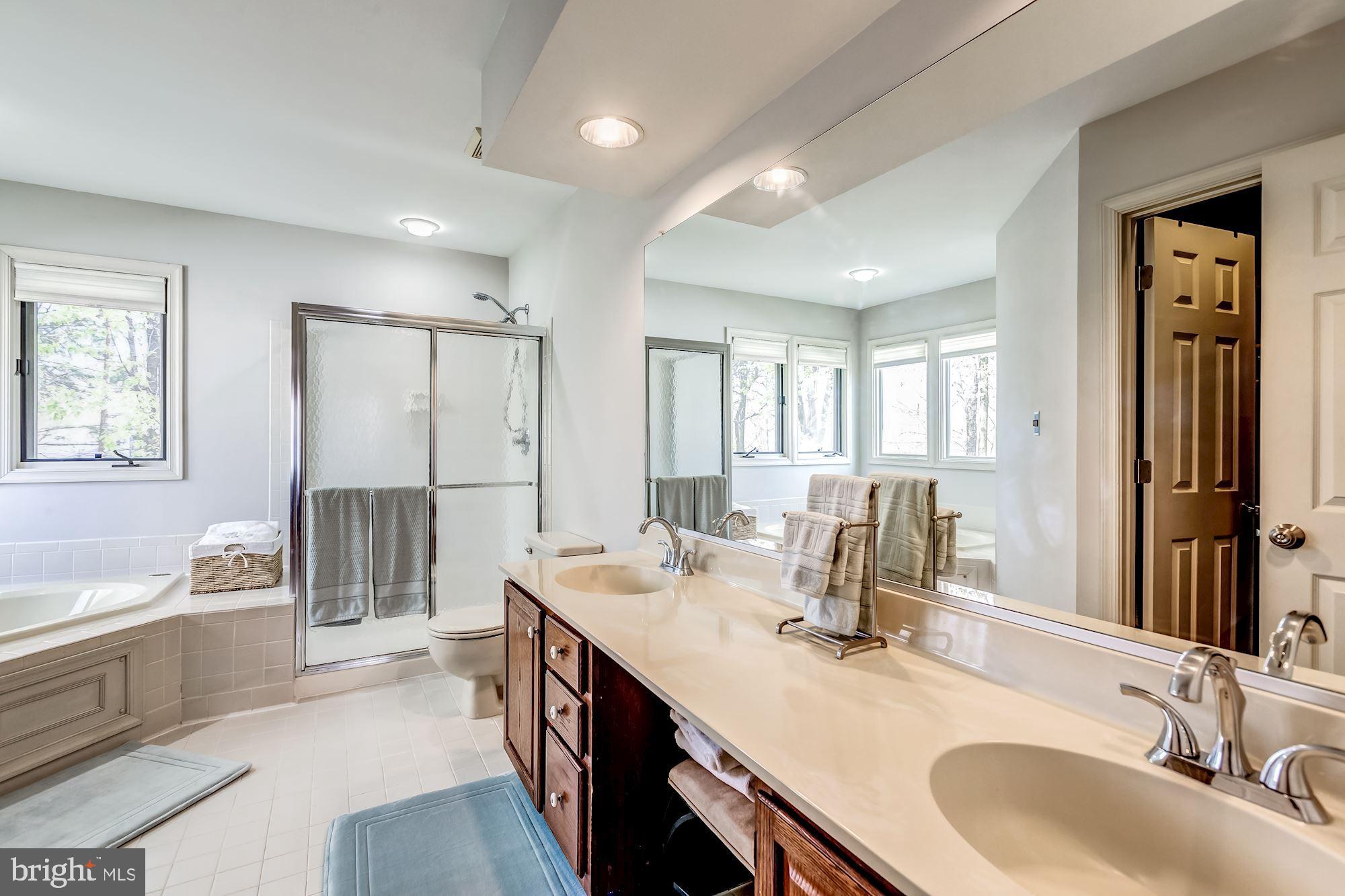 6402 Springhouse Circle Clifton, VA 20124 - Photo 31 of 43 a bathroom with a double vanity sink a mirror and a bathtub
