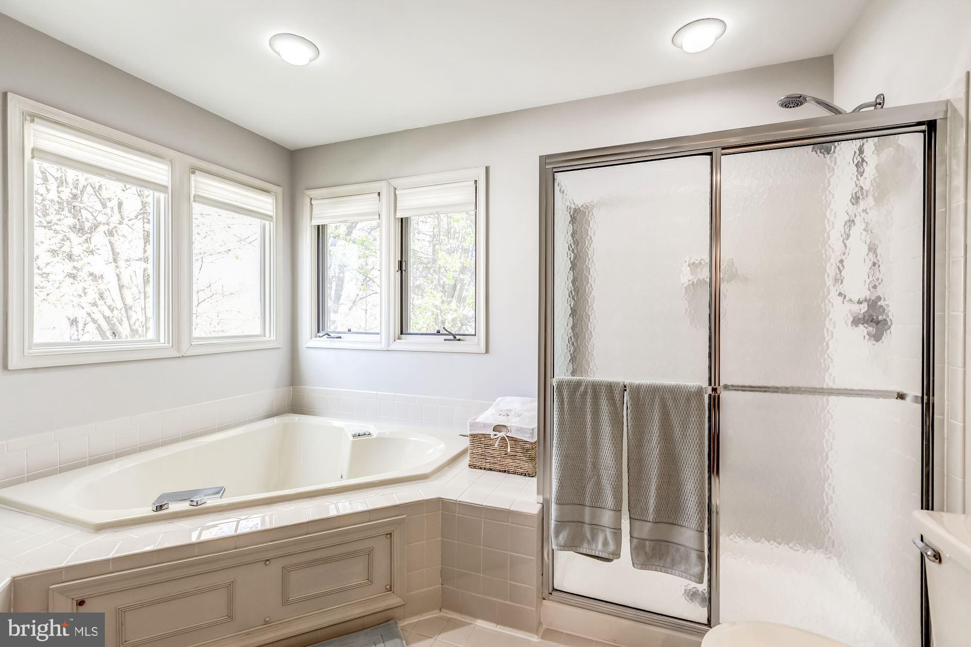 6402 Springhouse Circle Clifton, VA 20124 - Photo 32 of 43 a bathroom with a tub and a shower