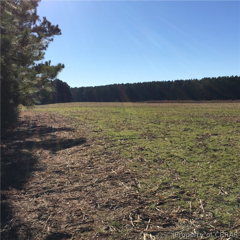 3797 Wakema Road West Point, VA 23181 - Photo 19 of 22
