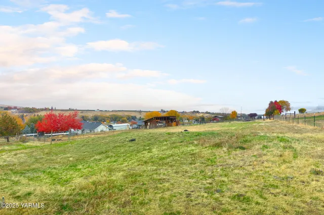 a view of a field with an ocean