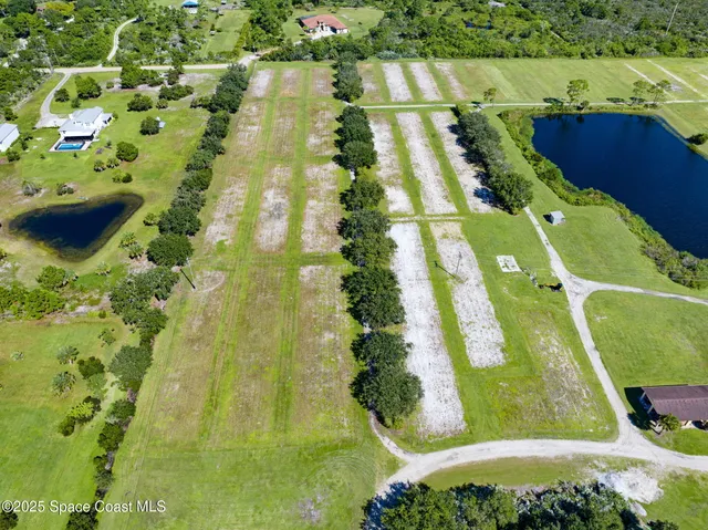 a view of a yard with a swimming pool