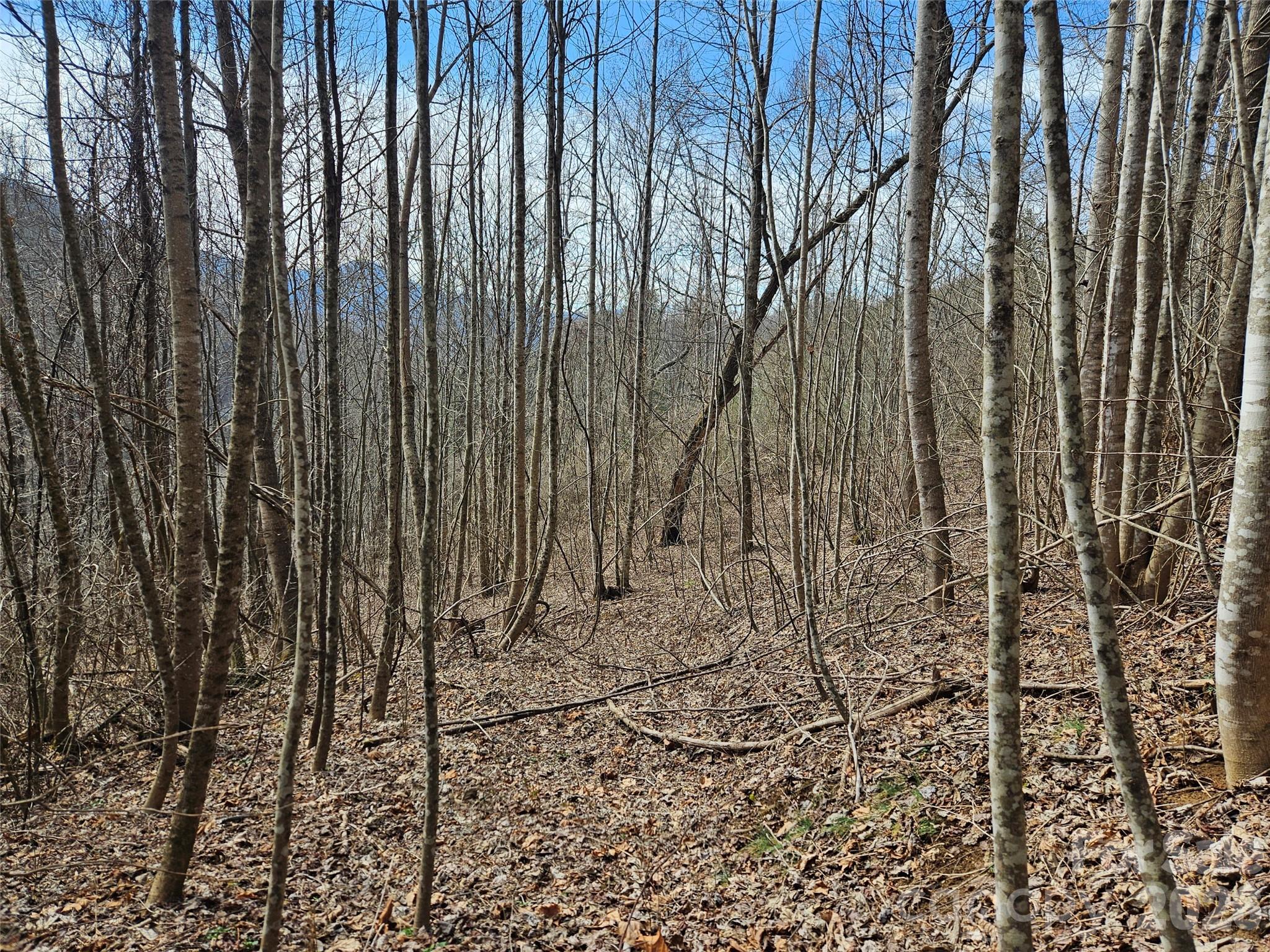 0 Woodfin Road Sylva, NC 28779 - Photo 2 of 8 a view of wooden fence