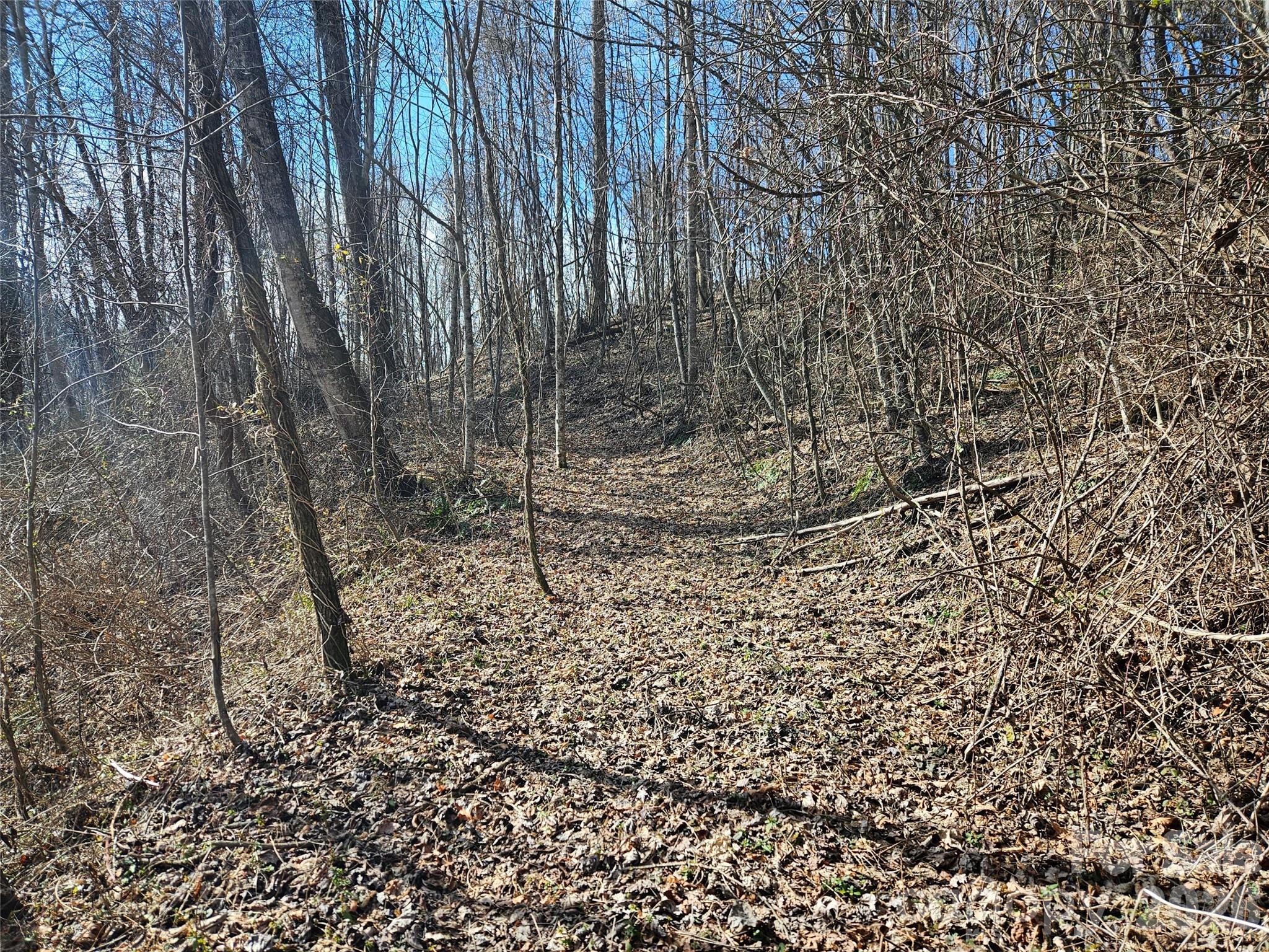 0 Woodfin Road Sylva, NC 28779 - Photo 4 of 8