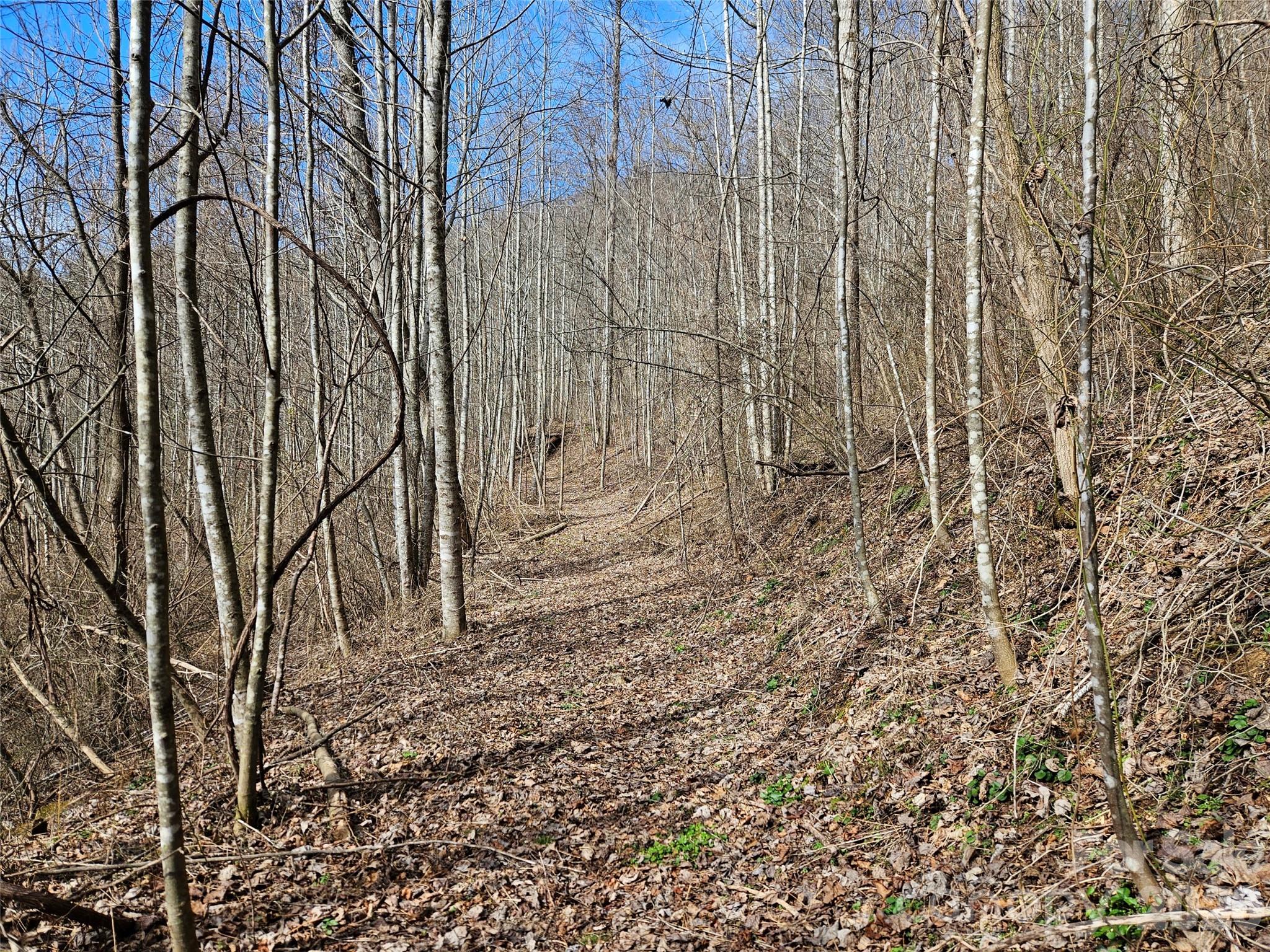 0 Woodfin Road Sylva, NC 28779 - Photo 6 of 8 a view of wooden fence