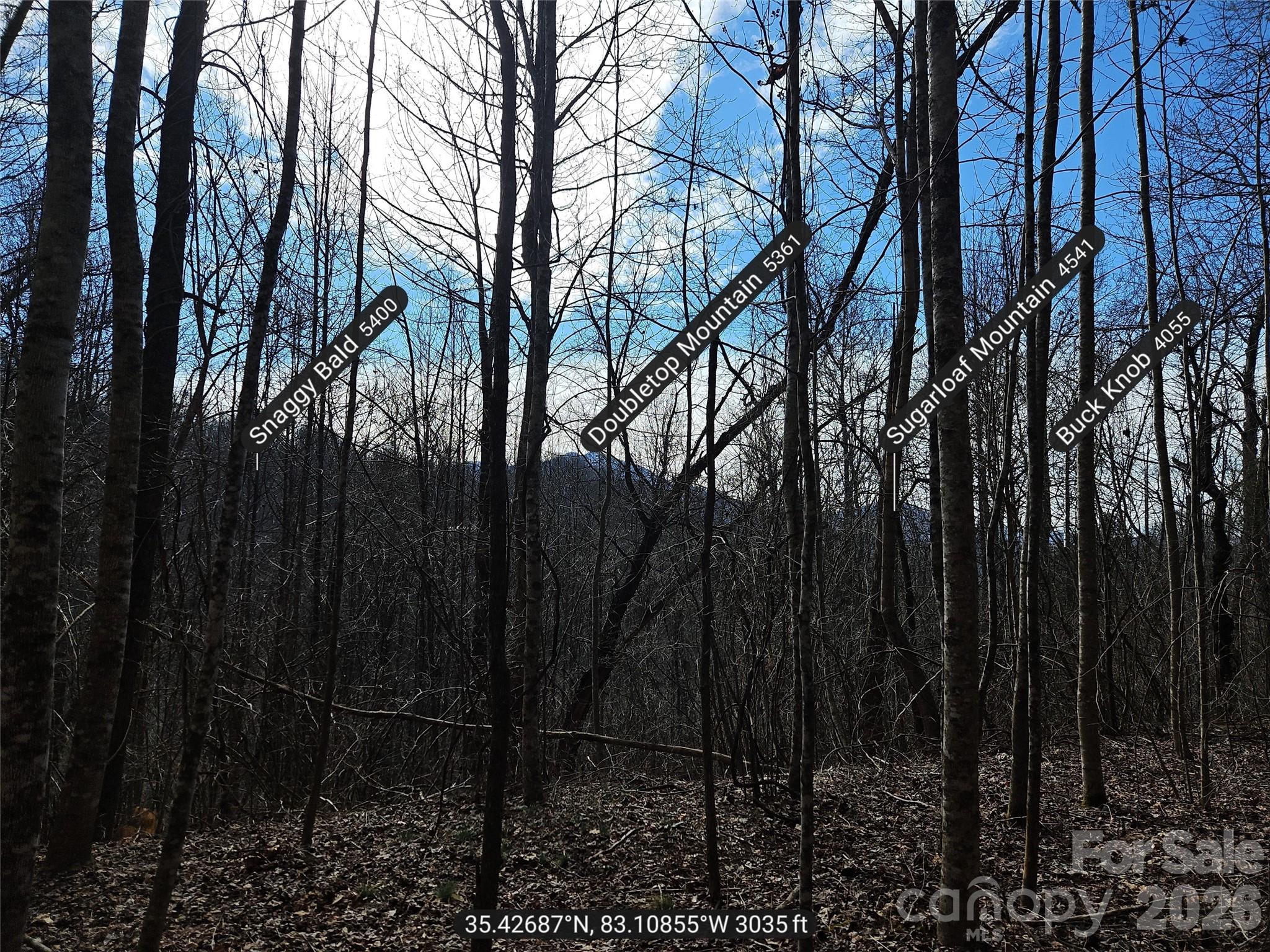 0 Woodfin Road Sylva, NC 28779 - Photo 7 of 8 a backyard of a house with lots of trees