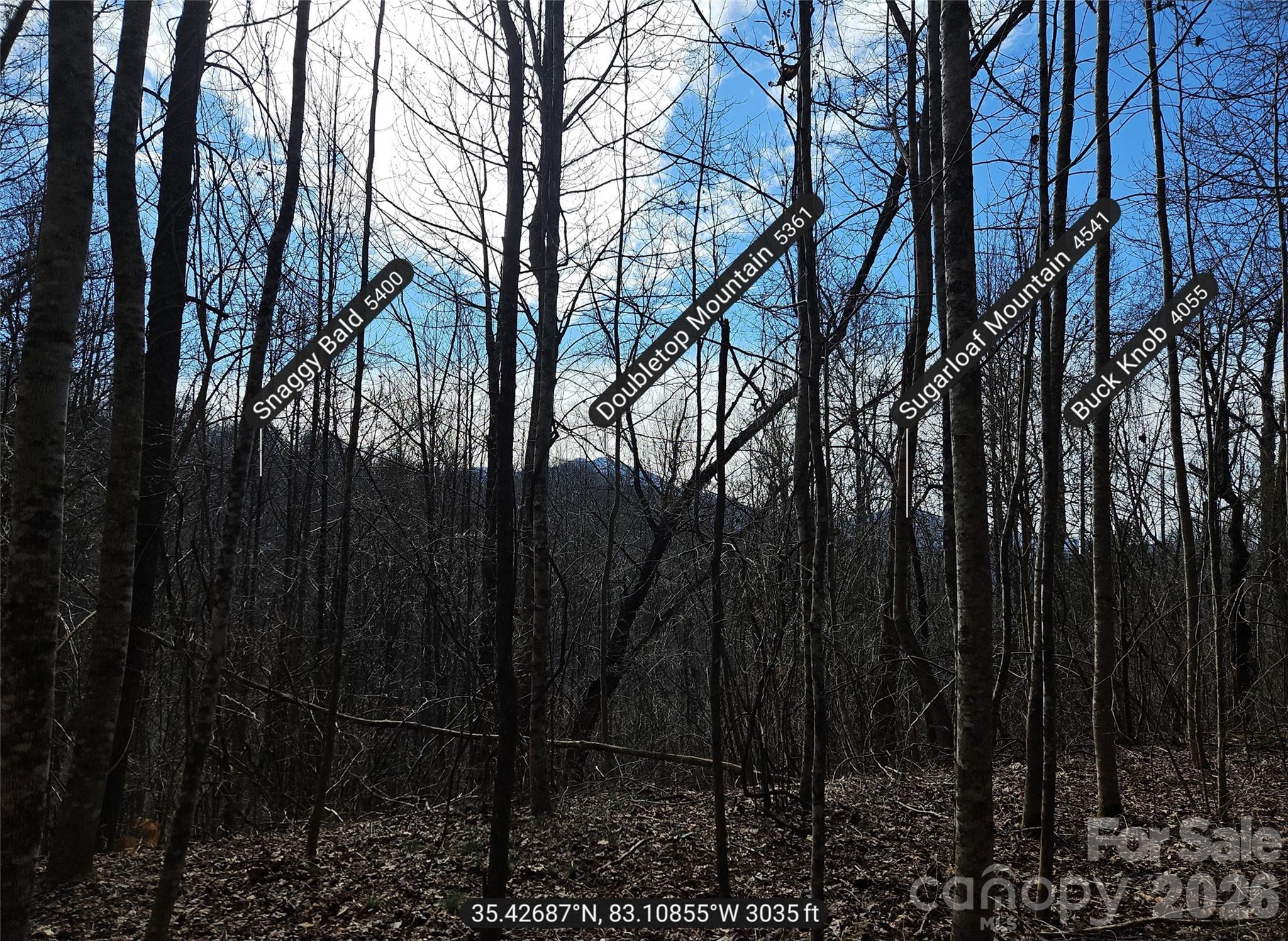 0 Woodfin Road Sylva, NC 28779 - Photo 8 of 8 a view of outdoor space