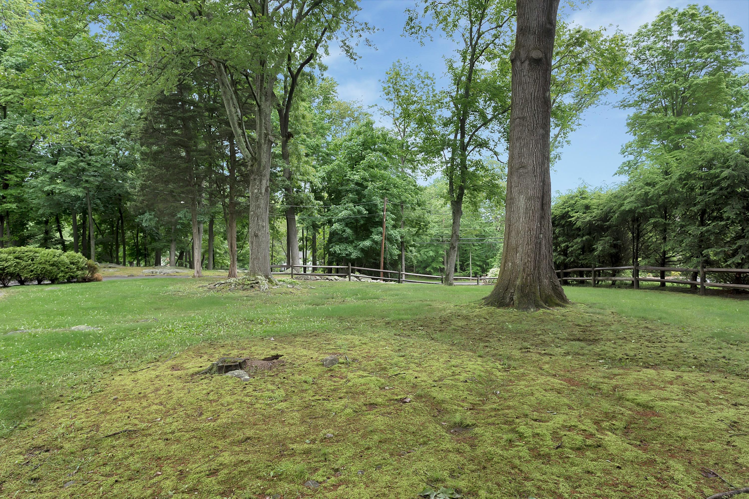 276 Smith Ridge Road New Canaan, CT 06840 - Photo 23 of 23 a view of outdoor space with trees all around