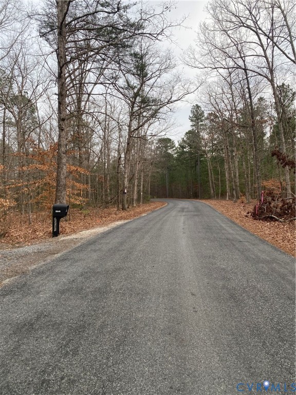 0 Courtney Road Hanover, VA 23069 - Photo 5 of 6 View of asphalt street with a view of trees