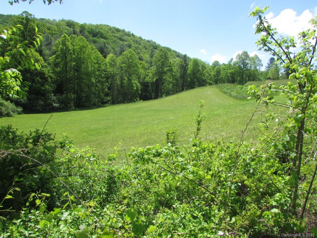 241 Bob Barnwell Road Fletcher, NC 28732 - Photo 12 of 23 Gallery Image 12