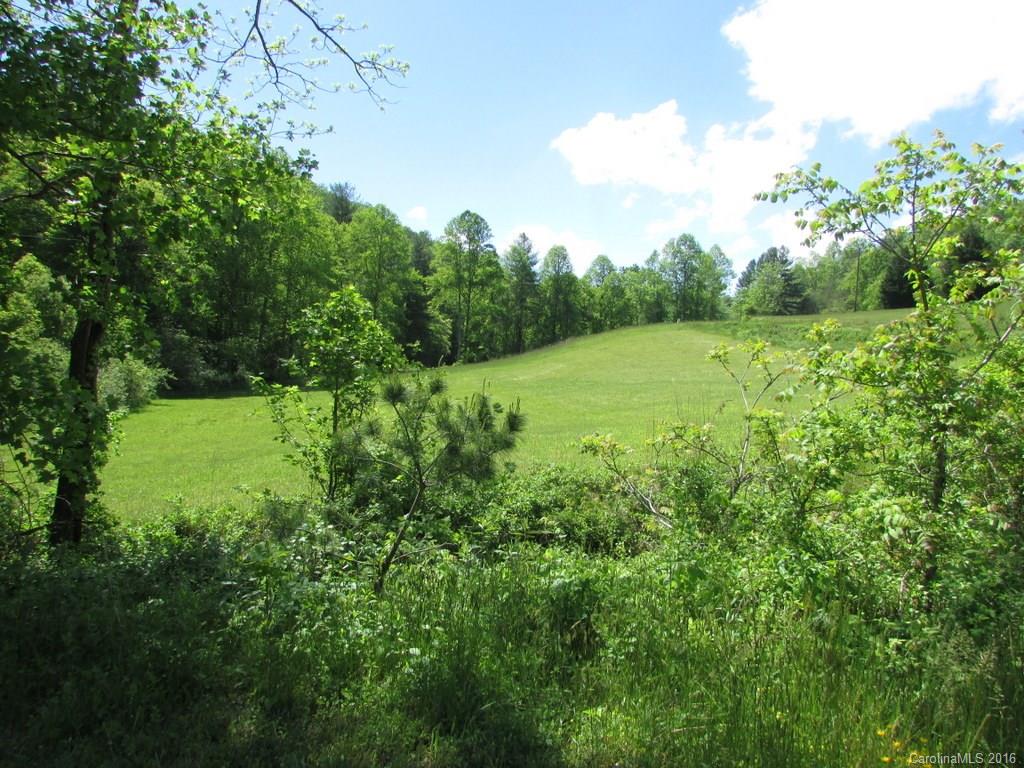 241 Bob Barnwell Road Fletcher, NC 28732 - Photo 13 of 23 Gallery Image 13