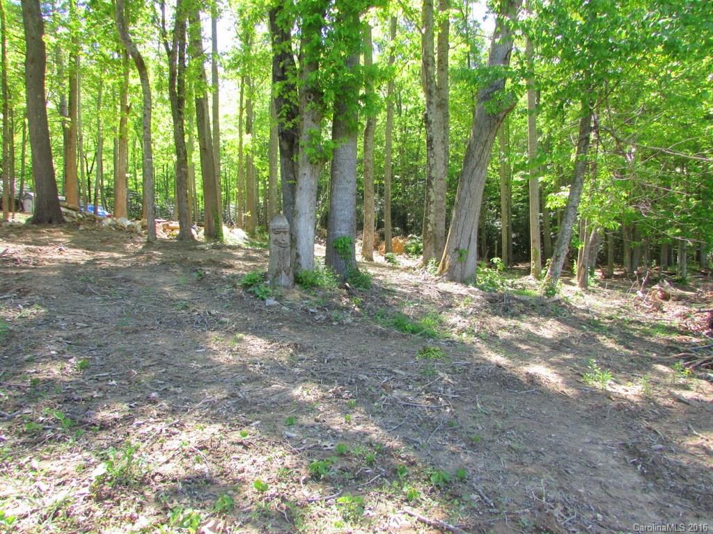 241 Bob Barnwell Road Fletcher, NC 28732 - Photo 21 of 23 Gallery Image 21