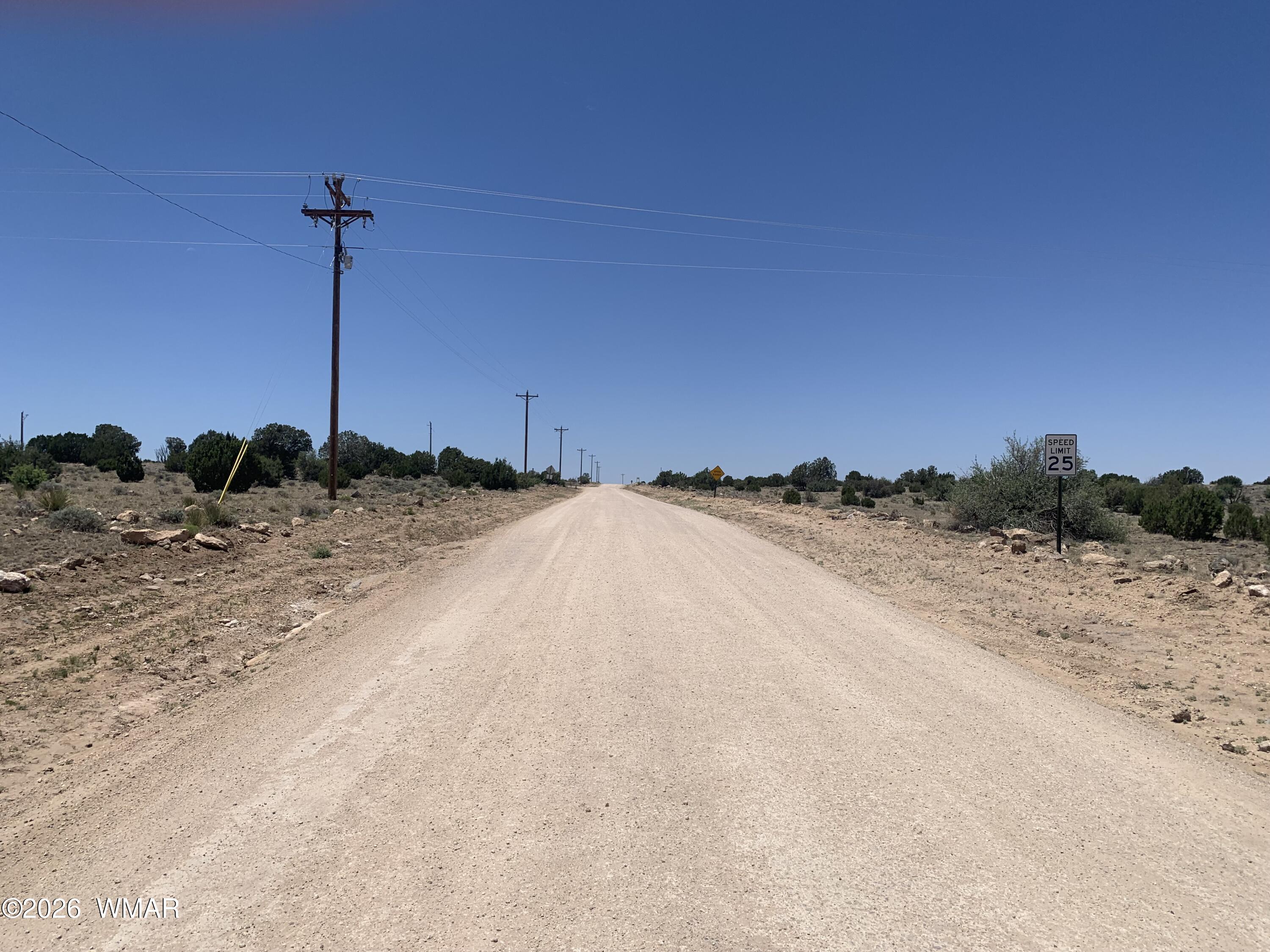 110 Mesa Redondo Ranch Road Concho, AZ 85924 - Photo 2 of 10 a view of a dry yard with a tree