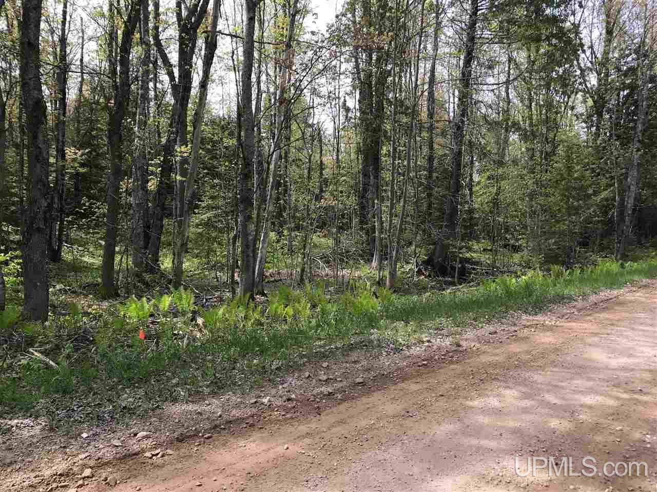 Tbd Co Rd 533 Road Rock, MI 49880 - Photo 6 of 13