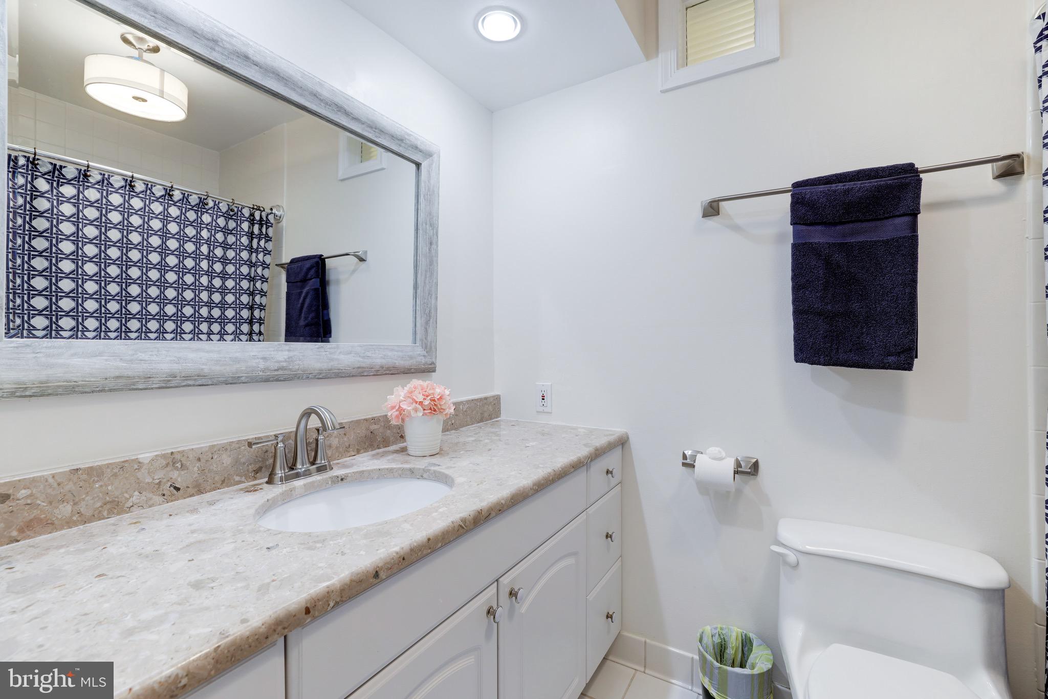 8305 Fort Hunt Road Alexandria, VA 22308 - Photo 41 of 74 a bathroom with a granite countertop sink and a mirror