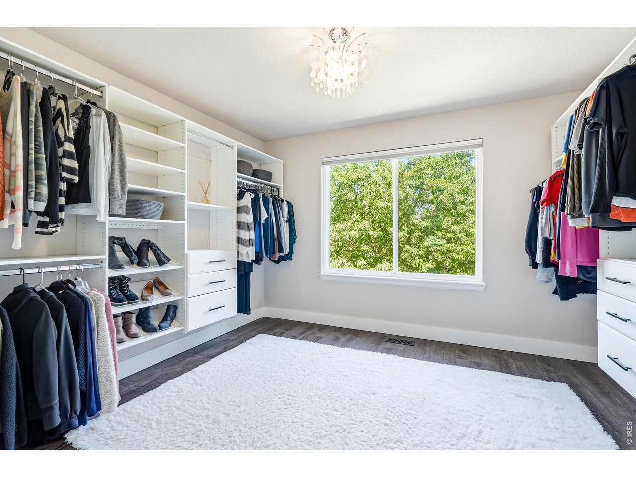 11725 Pleasant Hill Road Longmont, CO 80504 - Photo 30 of 50 The Primary Closet with Natural Light