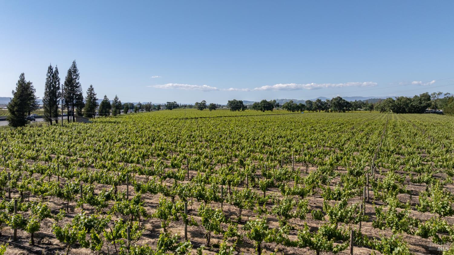 500 Mark West Station Road Windsor, CA 95492 - Photo 11 of 27 a view of a green field with lots of bushes