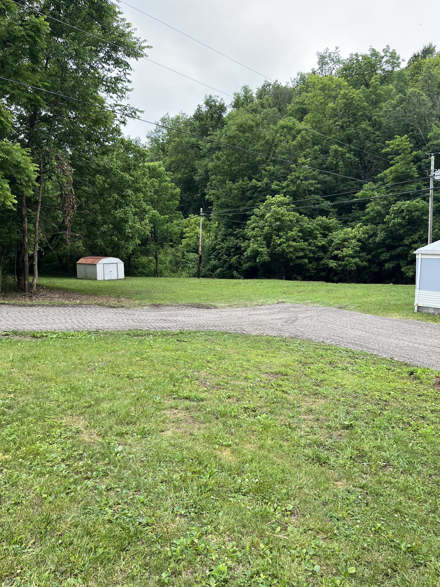 4050 Wolf Creek Road Silver Point, TN 38582 - Photo 11 of 23 a view of a yard with a trees