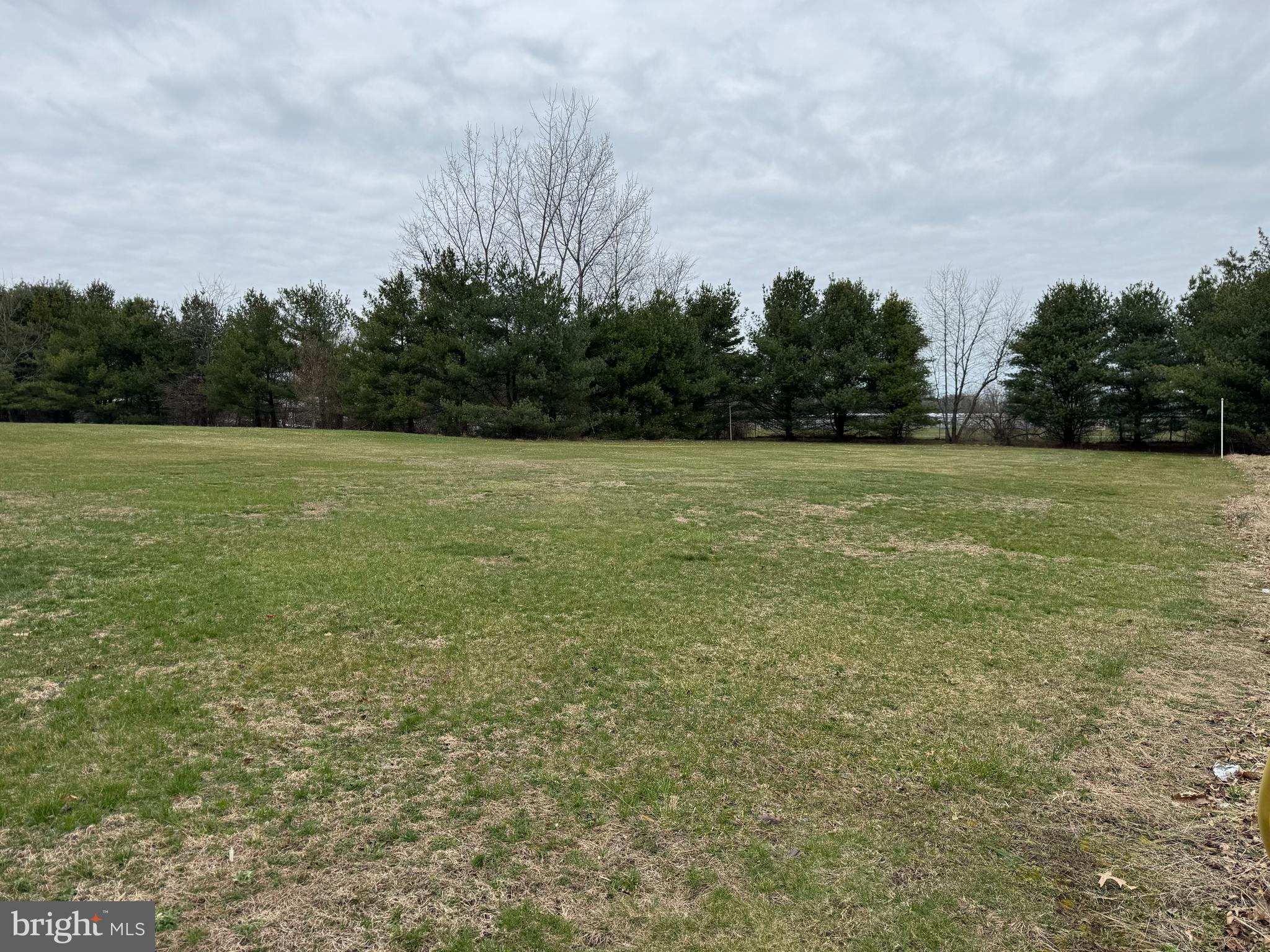 a view of field with trees in background