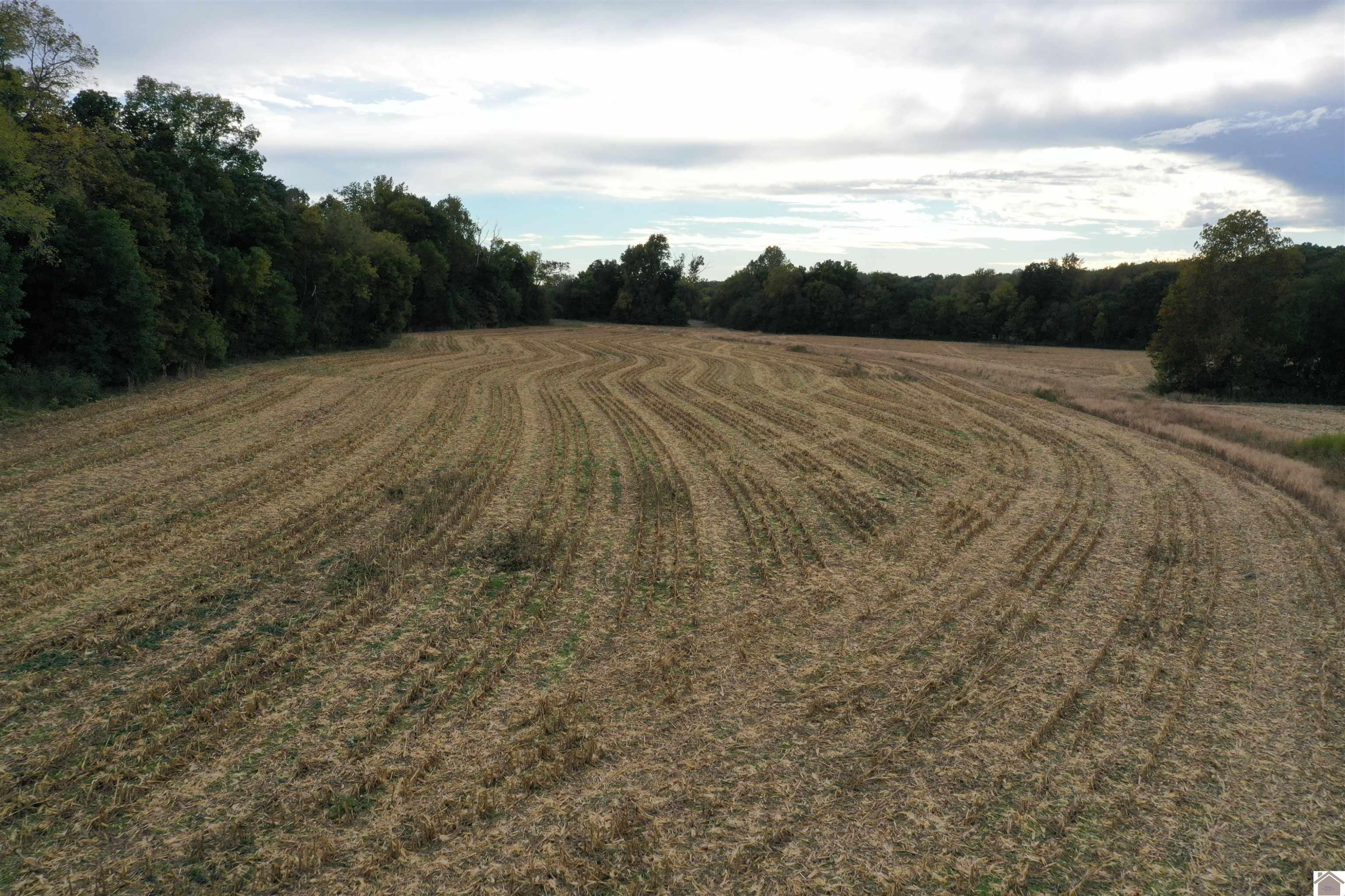 0 Barnett Road Farmington, KY 42040 - Photo 1 of 10 Photo 1