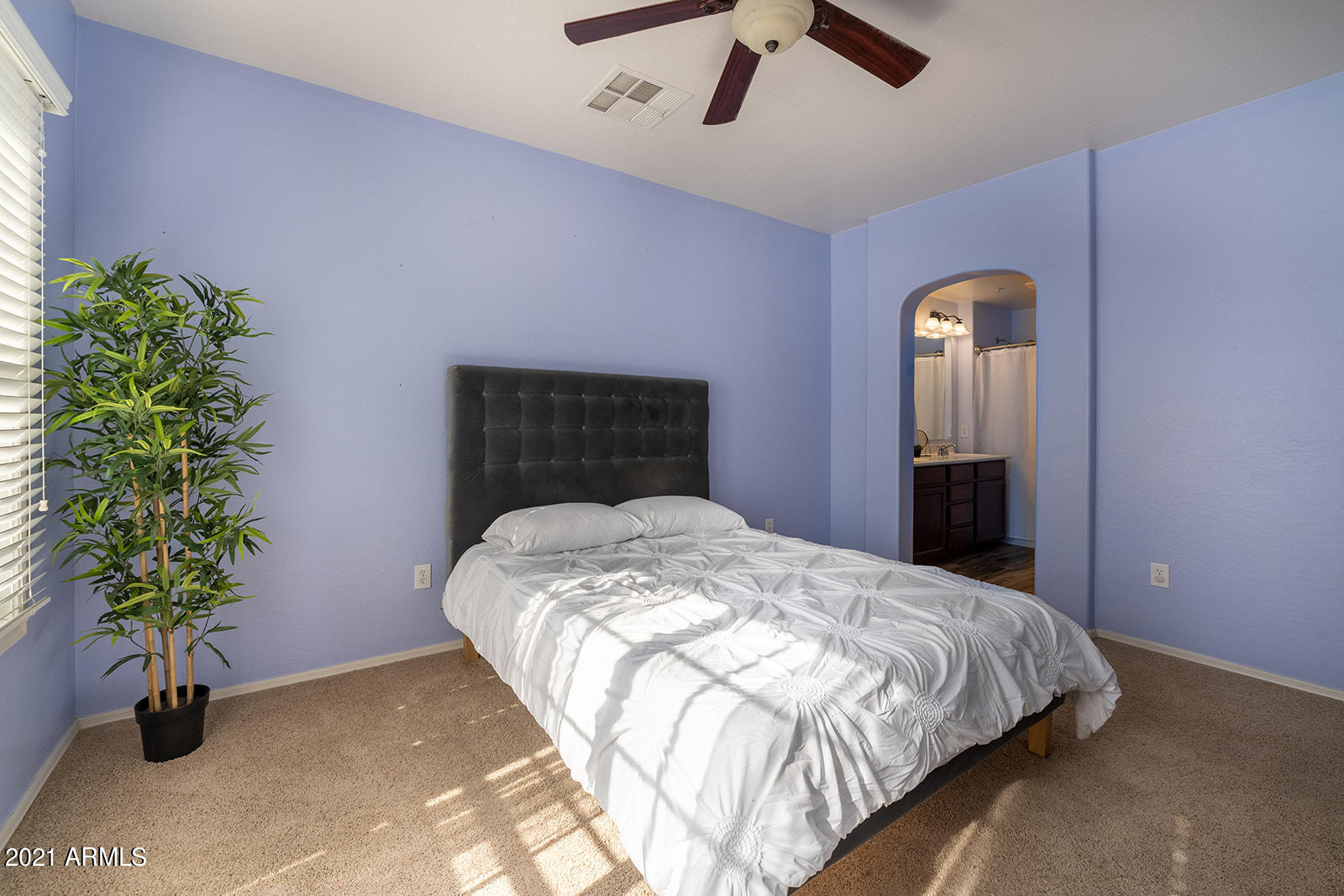 4757 East Waterman Street, Unit 103 Gilbert, AZ 85297 - Photo 13 of 31 So much natural light