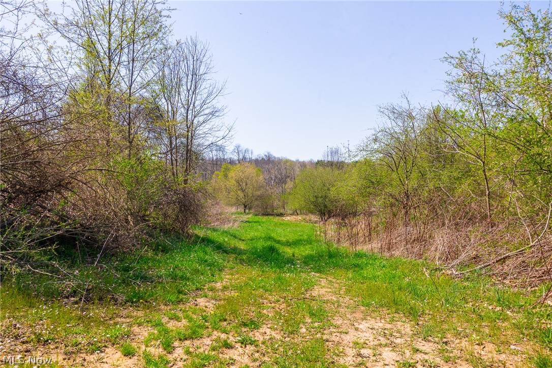245 Liberty Road New Concord, OH 43762 - Photo 6 of 44 Gallery Image 6