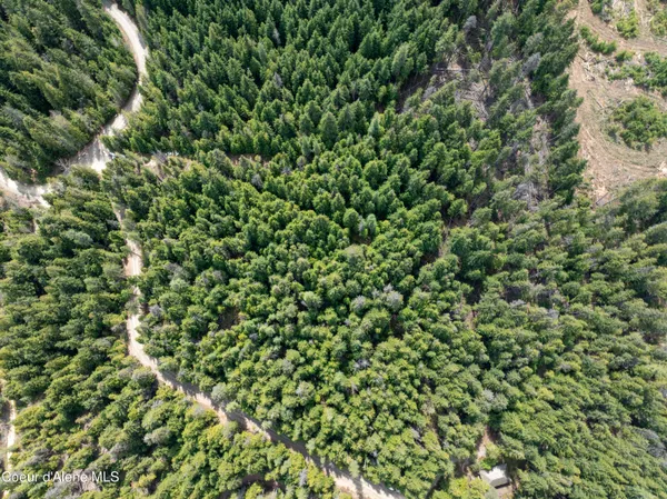 $747,000 | 20-acres Canoe Pt Road, Coolin, ID 83821