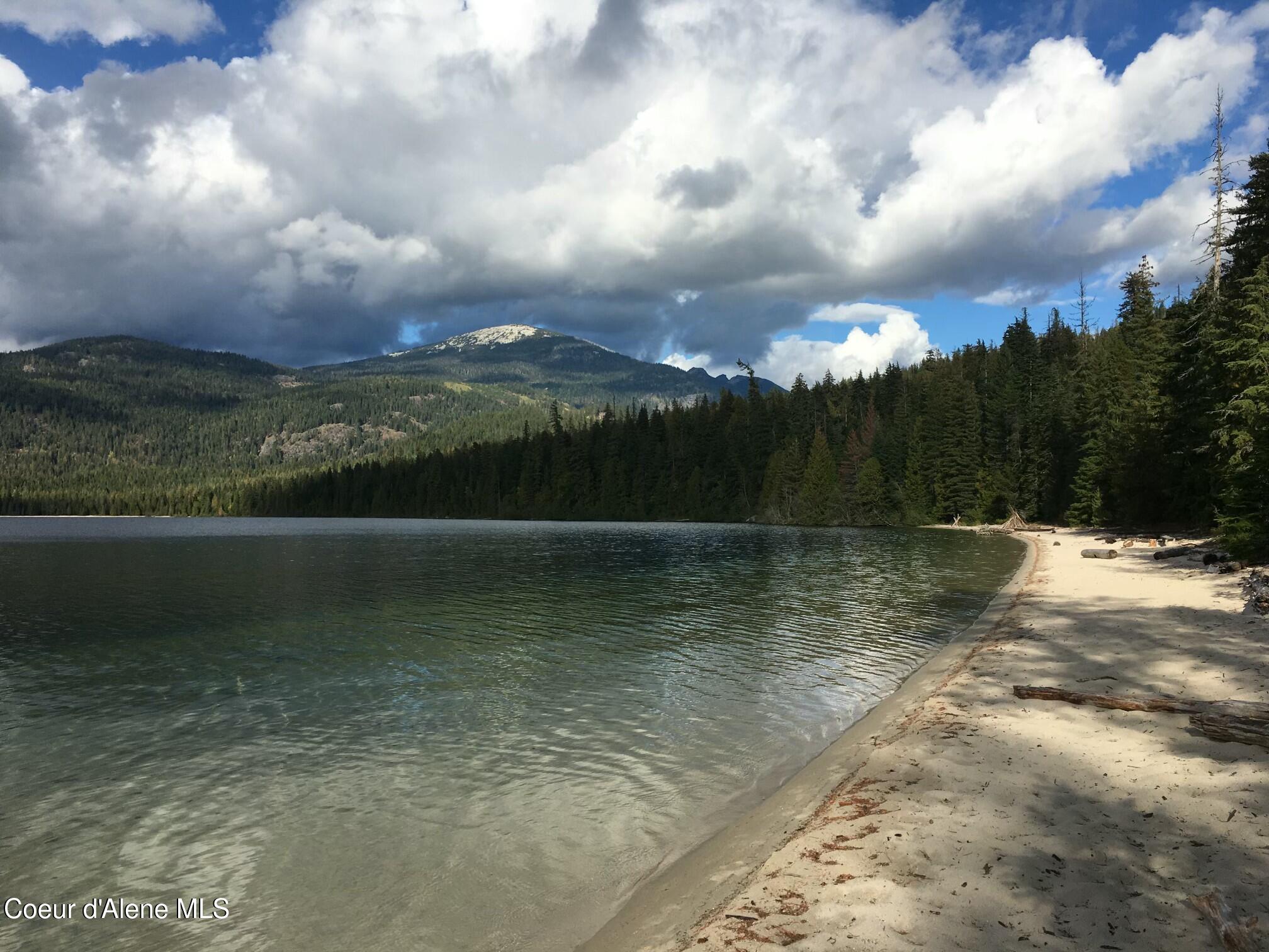 20-acres Canoe Pt Road Coolin, ID 83821 - Photo 20 of 34 Squaw Beach