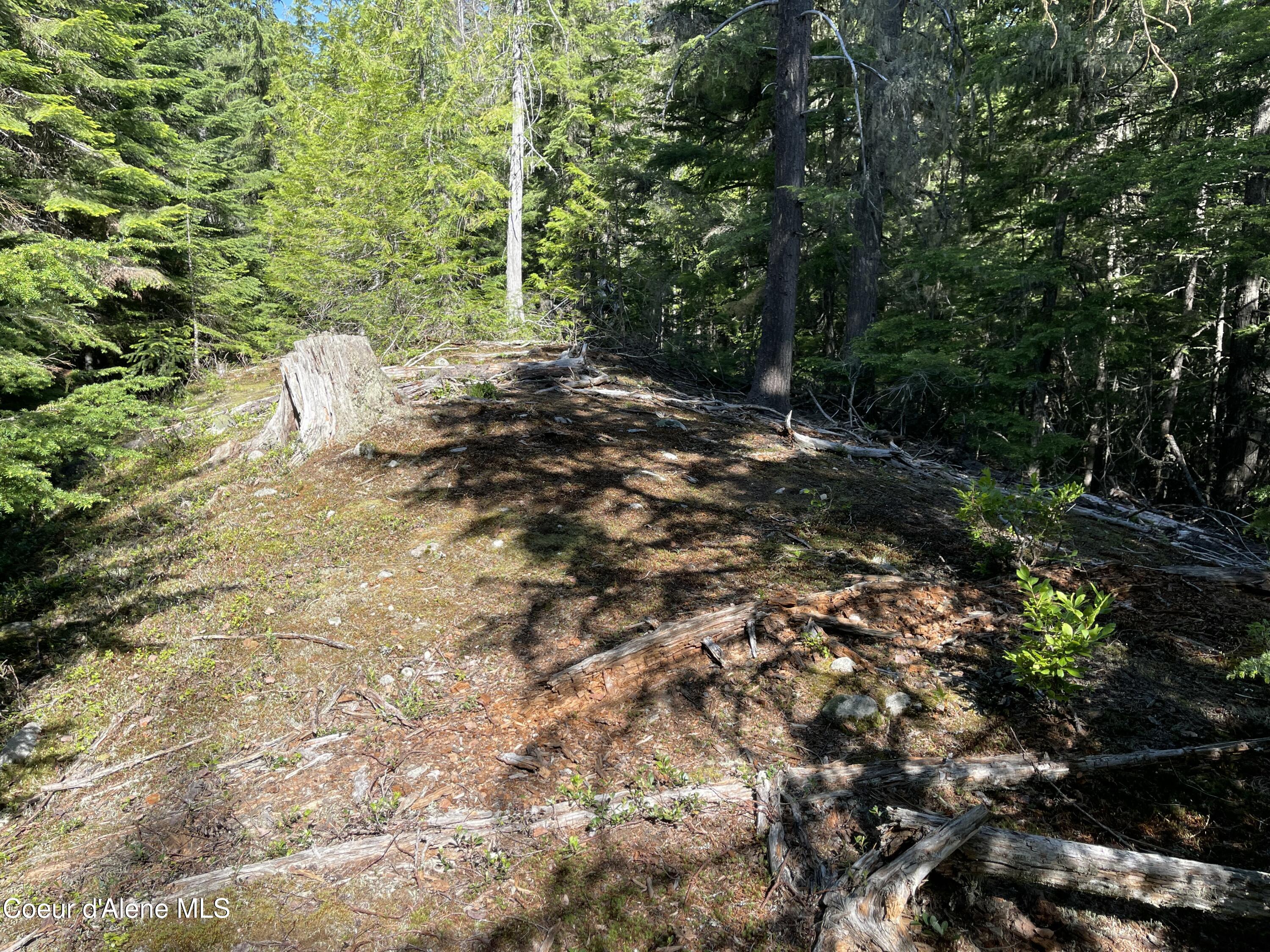 20-acres Canoe Pt Road Coolin, ID 83821 - Photo 21 of 34 Flat ground