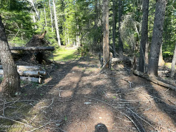 $747,000 | 20-acres Canoe Pt Road, Coolin, ID 83821