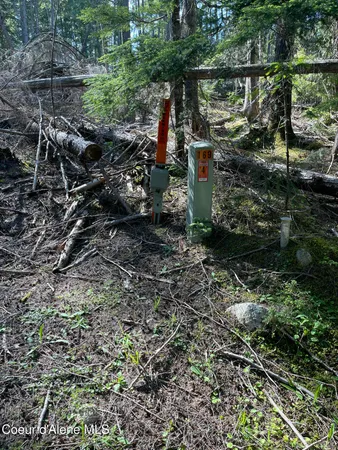 $747,000 | 20-acres Canoe Pt Road, Coolin, ID 83821