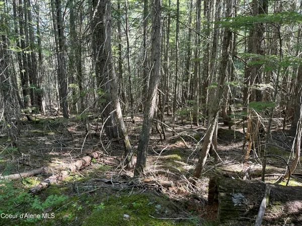 $747,000 | 20-acres Canoe Pt Road, Coolin, ID 83821