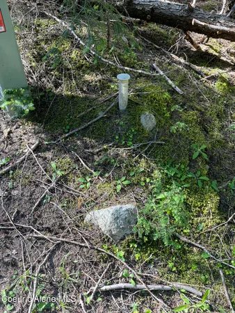 $747,000 | 20-acres Canoe Pt Road, Coolin, ID 83821