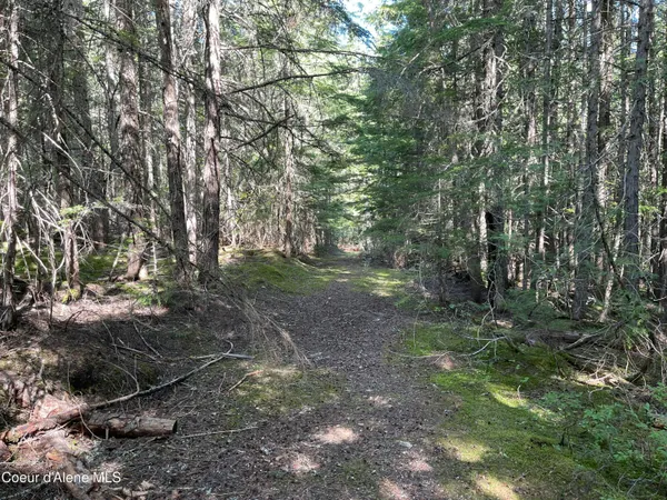 $747,000 | 20-acres Canoe Pt Road, Coolin, ID 83821