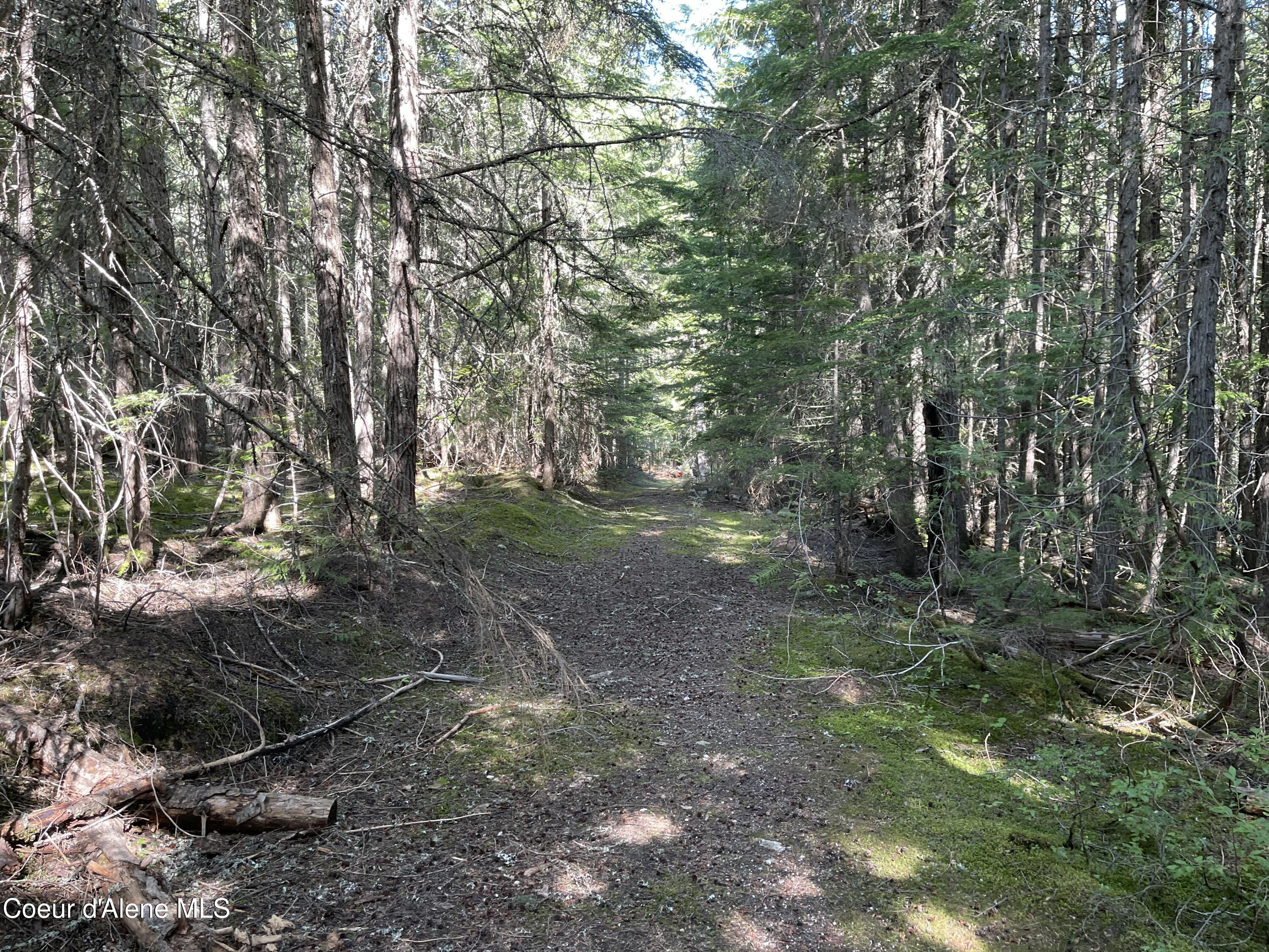 20-acres Canoe Pt Road Coolin, ID 83821 - Photo 26 of 34 Build 3 Homes